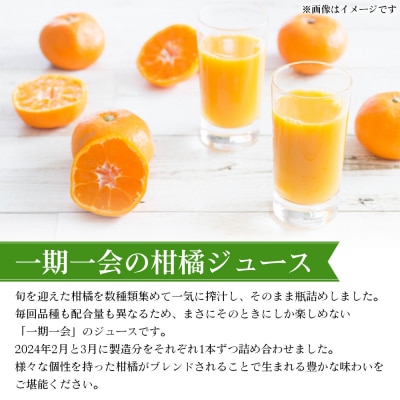 <一期一会の柑橘ジュース 720ml×2本セット> 果汁100% ストレート 柑橘 果物 みかん 