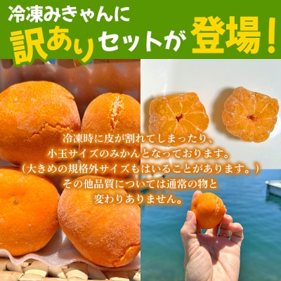 【訳あり】冷凍みきゃんセット みきゃん盛り(皮付き15個)