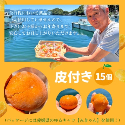 【訳あり】冷凍みきゃんセット みきゃん盛り(皮付き15個)