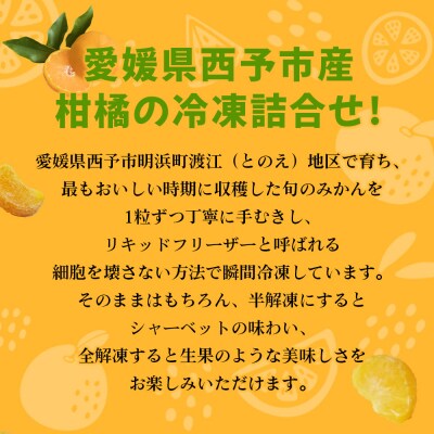 【訳あり】冷凍みきゃんセット みきゃん盛り(皮無し10個)