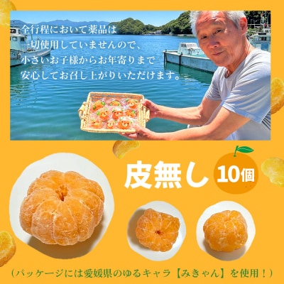 【訳あり】冷凍みきゃんセット みきゃん盛り(皮無し10個)