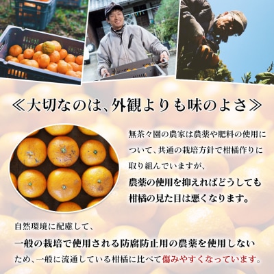 【先行受付】無茶々園の温州みかん　7kg