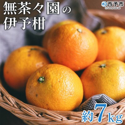 【先行予約】無茶々園の伊予柑　7kg