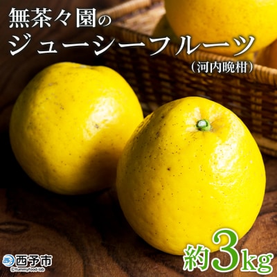 【先行受付】無茶々園のジューシーフルーツ(河内晩柑)約3kg　果物 フルーツ