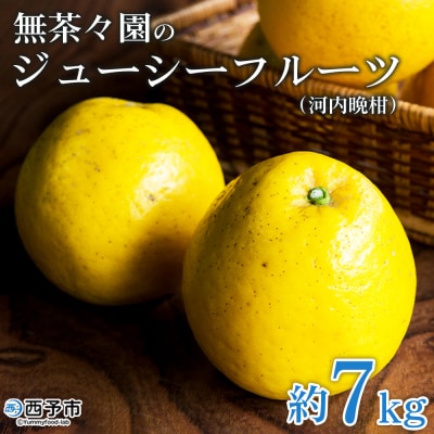【先行受付】<無茶々園のジューシーフルーツ(河内晩柑)7kg>　果物　フルーツ　柑橘　愛媛　期間限定