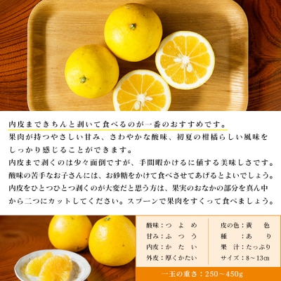 【先行受付】<無茶々園のジューシーフルーツ(河内晩柑)7kg>　果物　フルーツ　柑橘　愛媛　期間限定