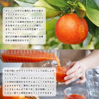 無茶々園のブラッドオレンジ　3kg