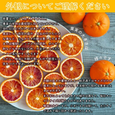 無茶々園のブラッドオレンジ　3kg