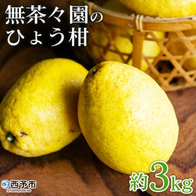 無茶々園のひょう柑 3kg 果物 みかん ミカン 蜜柑 柑橘 フルーツ