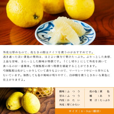 無茶々園のひょう柑 3kg 果物 みかん ミカン 蜜柑 柑橘 フルーツ