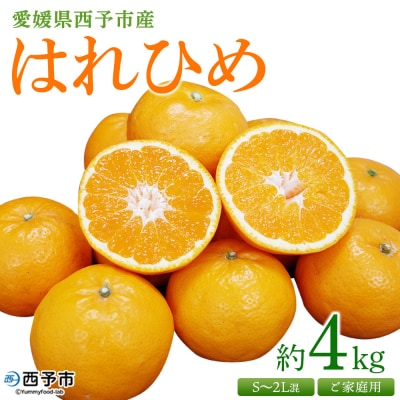 <愛媛県西予市産 はれひめ ご家庭用 約4kg> 訳あり ワケアリ 不揃い 果物 くだもの