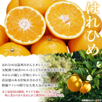 <愛媛県西予市産 はれひめ ご家庭用 約4kg> 訳あり ワケアリ 不揃い 果物 くだもの