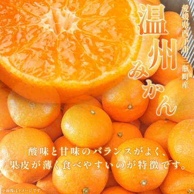 玉やま農園直送　温州みかん5kg　訳あり、家庭用