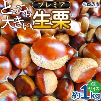 とっても大きい!プレミア生栗4Lサイズ(1キロ)
