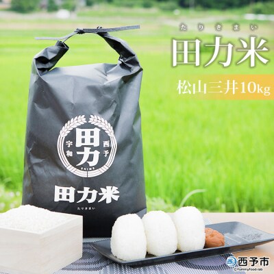 <令和6年産:田力米(松山三井)10kg>　コメ　西予　宇和　特産品
