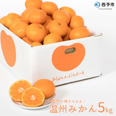 	 先行予約 <温州みかん 約5kg> 柑橘 みかん ミカン 蜜柑 果物 くだもの