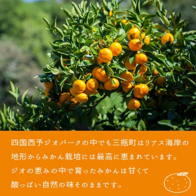 	 先行予約 <温州みかん 約5kg> 柑橘 みかん ミカン 蜜柑 果物 くだもの