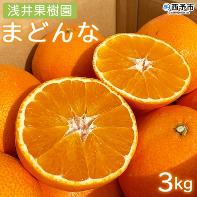 浅井果樹園直送　西宇和産まどんな 3kg