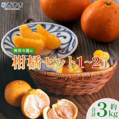 【先行受付】<無茶々園柑橘セット 約3kg(1～2月)> フルーツ くだもの 伊予柑 いよかん 