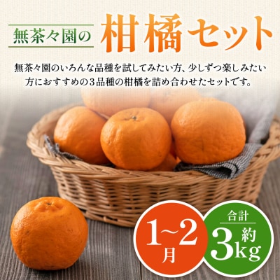 【先行受付】<無茶々園柑橘セット 約3kg(1～2月)> フルーツ くだもの 伊予柑 いよかん 