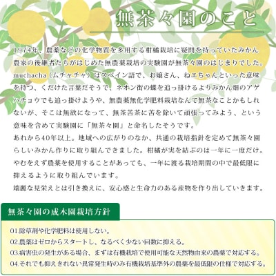 【先行受付】<無茶々園柑橘セット 約3kg(1～2月)> フルーツ くだもの 伊予柑 いよかん 