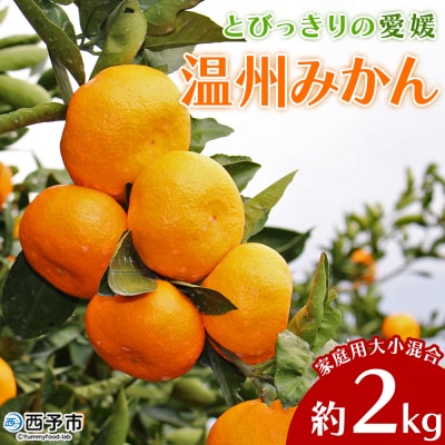 <とびっきりの愛媛 温州みかん 約2kg(家庭用大小混合)> 訳あり 家庭用 果物