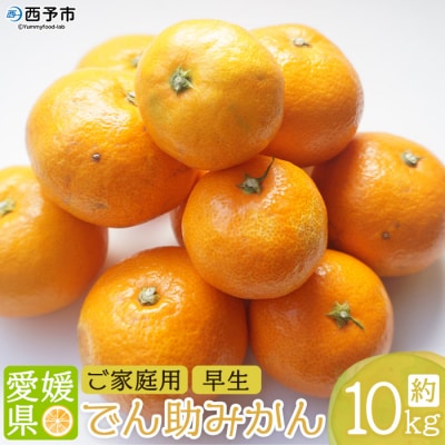 でん助農園の温州みかん(早生)　ご家庭用　10kg