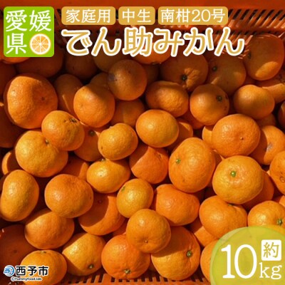 でん助農園の温州みかん(中生・南柑20号)　ご家庭用　10kg　