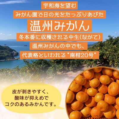 でん助農園の温州みかん(中生・南柑20号)　ご家庭用　10kg　