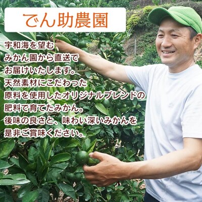 でん助農園の温州みかん(中生・南柑20号)　ご家庭用　10kg　