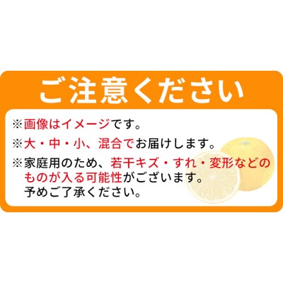 でん助農園の温州みかん(中生・南柑20号)　ご家庭用　10kg　