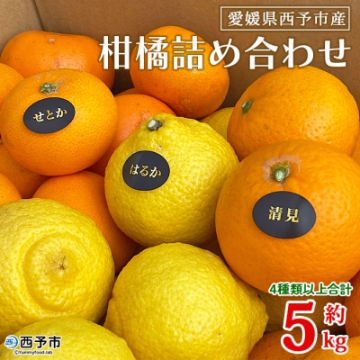 夕焼け山農園　愛媛県西予市産柑橘詰め合わせ　5kg