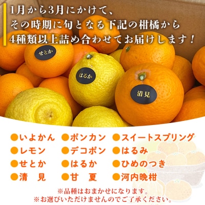 夕焼け山農園　愛媛県西予市産柑橘詰め合わせ　5kg