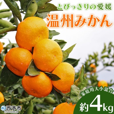 とびっきりの愛媛片山果樹園　温州みかん4kg(家庭用大小混合)