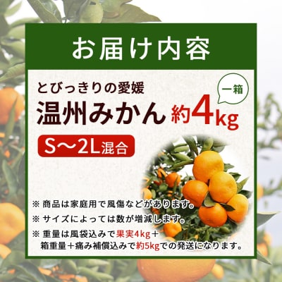 とびっきりの愛媛片山果樹園　温州みかん4kg(家庭用大小混合)