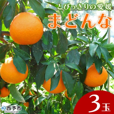 とびっきりの愛媛片山果樹園　まどんな(3玉)