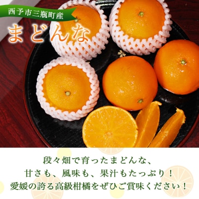 とびっきりの愛媛片山果樹園　まどんな(3玉)