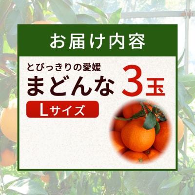 とびっきりの愛媛片山果樹園　まどんな(3玉)
