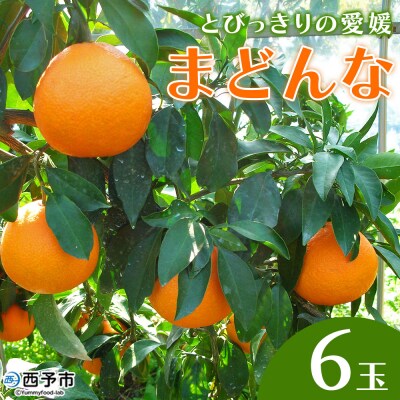 とびっきりの愛媛片山果樹園　まどんな6玉