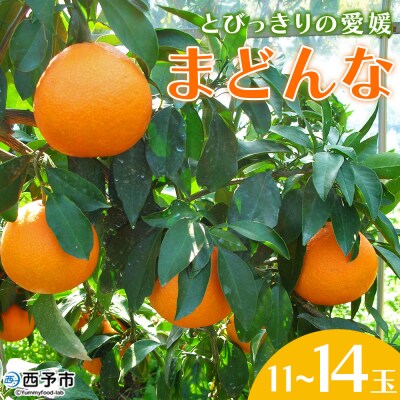 とびっきりの愛媛片山果樹園　まどんな(11～14玉)
