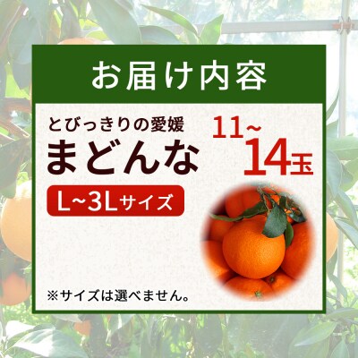 とびっきりの愛媛片山果樹園　まどんな(11～14玉)