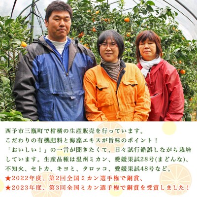 とびっきりの愛媛片山果樹園　まどんな(11～14玉)