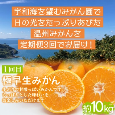 でん助農園の温州みかんリレー　ご家庭用　3回定期便(極早生・早生・中生)