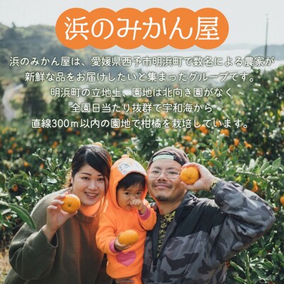 果汁100%みかんジュース 720ml×6本セット
