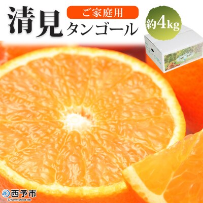 <愛媛県西予市産　清見タンゴール　ご家庭用　4kg>　柑橘　果物　フルーツ　果実　特産品