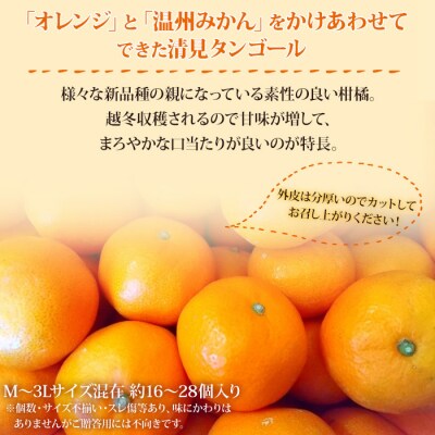 <愛媛県西予市産　清見タンゴール　ご家庭用　4kg>　柑橘　果物　フルーツ　果実　特産品