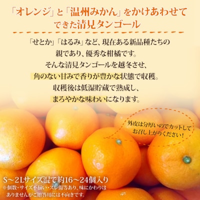 <愛媛県西予市産 蔵出し熟成清見　ご家庭用4kg>　柑橘　フルーツ　果物　果実　特産品　低温貯蔵