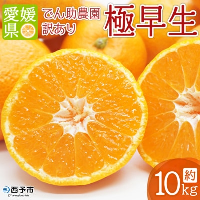 でん助農園の温州みかん(極早生)　訳あり　10kg
