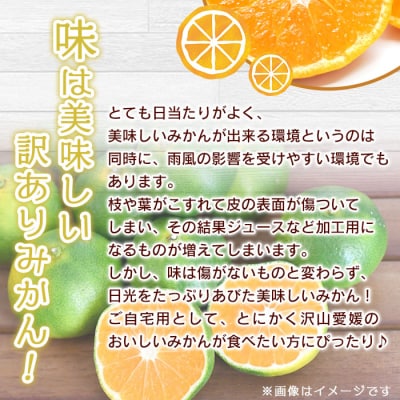でん助農園の温州みかん(極早生)　訳あり　10kg