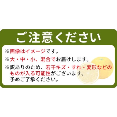 でん助農園の温州みかん(極早生)　訳あり　10kg